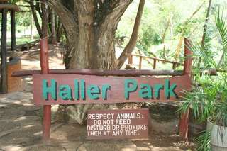 Der Haller Park